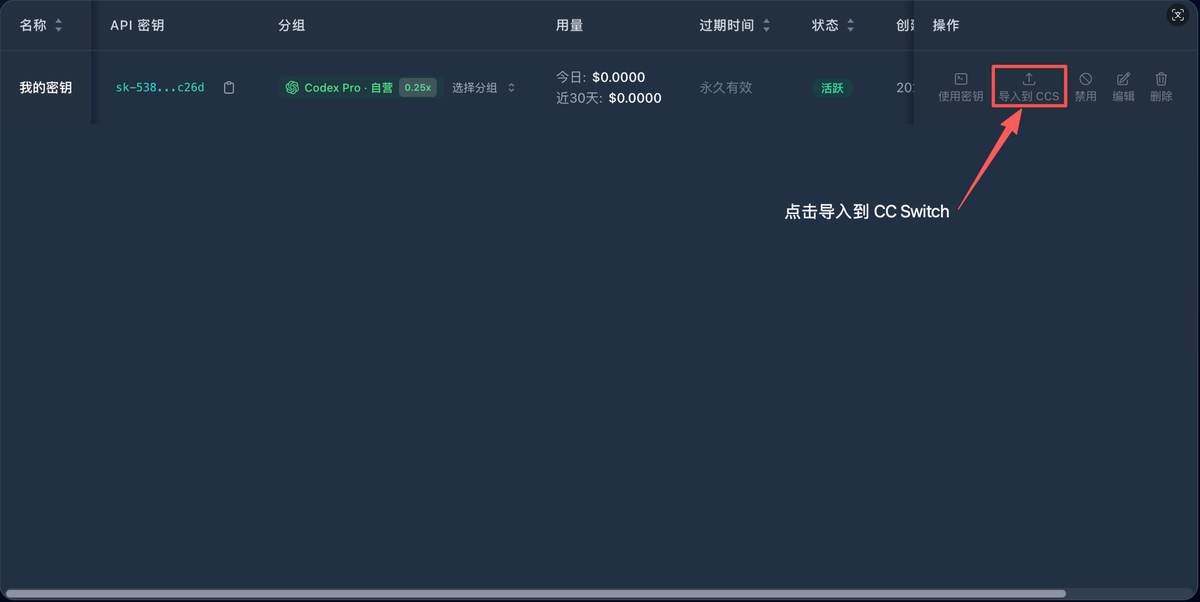 API 快连 API 密钥行中的导入到 CCS 按钮