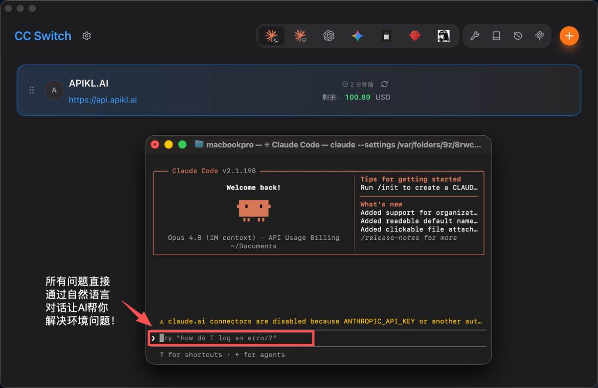 CC Switch 终端环境变量错误示例